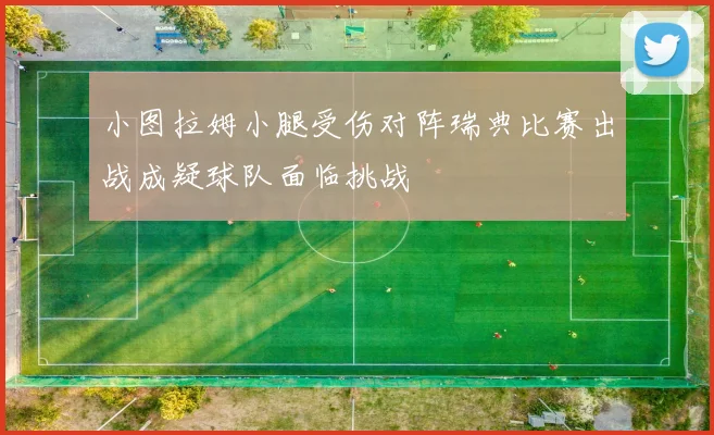 小图拉姆小腿受伤对阵瑞典比赛出战成疑球队面临挑战