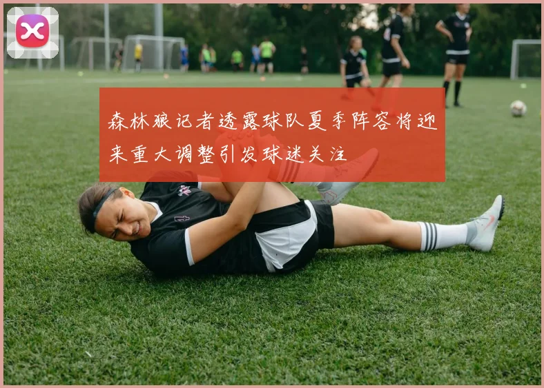 森林狼记者透露球队夏季阵容将迎来重大调整引发球迷关注