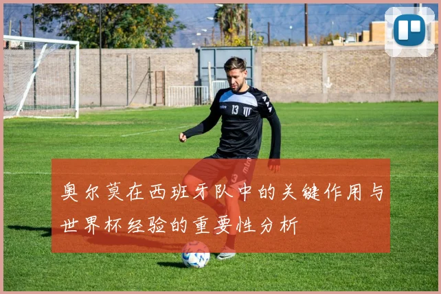 奥尔莫在西班牙队中的关键作用与世界杯经验的重要性分析